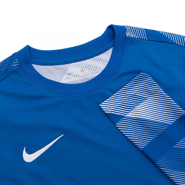 Кофта спортивна чоловіча  Nike Dry Park IV Goalkeeper Jersey Long Sleeve CJ6066-463