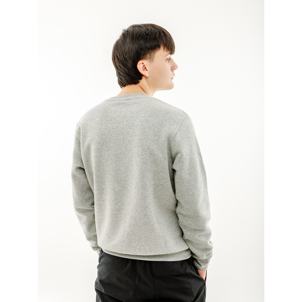 Світшот чоловічій Nike CREW BB FN0245-063