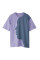 Футболка жіноча Air Jordan T-Shirt Oversize Violet/Green FB5140-500