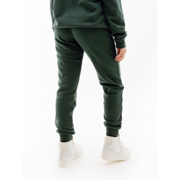 Штани жіночі спортивні Nike NS CLUB FLC SHINE MR PANT FB8760-328