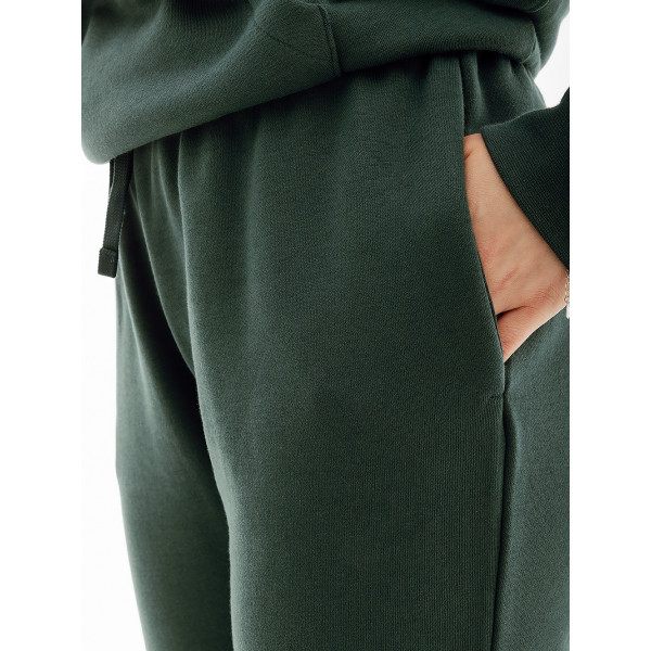 Штани жіночі спортивні Nike NS CLUB FLC SHINE MR PANT FB8760-328