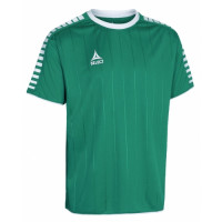 Футболка чоловіча Select Argentina player shirt s/s  622500-005
