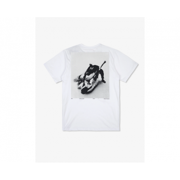 Футболка чоловіча Manto t-shirt Motion 3418