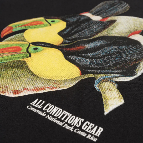 Футболка Nike ACG Toucan