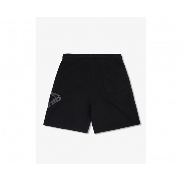 Шорти чоловічі Manto shorts Logo 3460