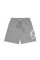 Шорти чоловічі Manto shorts Logo 3461