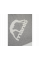 Шорти чоловічі Manto shorts Logo 3461