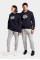 Худі Arena HOODED SWEAT GRAPHIC