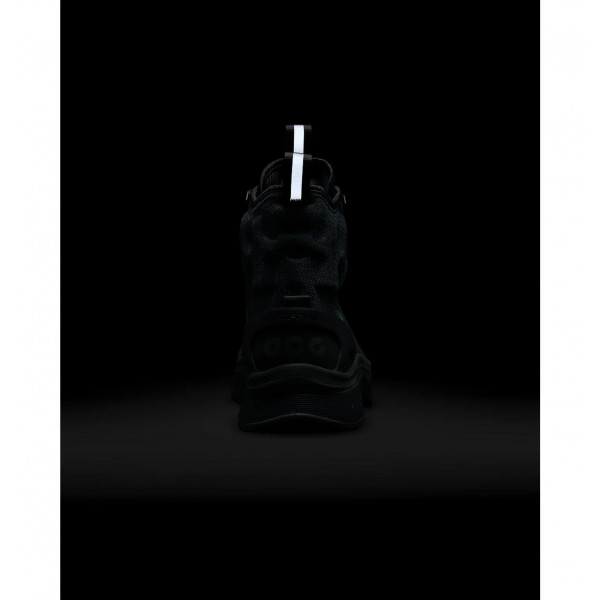 Черевики чоловічі Nike Acg Air Zoom Gaiadome Gore-Tex (DD2858-300)