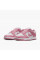 Кросівки жіночі Nike Dunk Low Next Nature (DD1873-112)