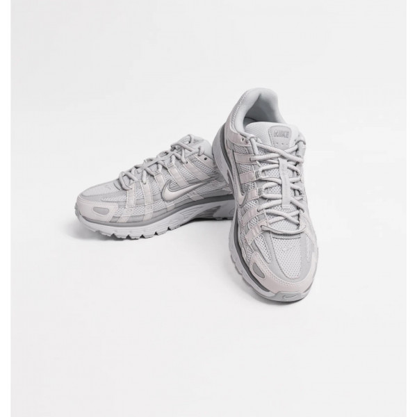 Кросівки жіночі Nike P-6000 Summit White Pure Platinum (FV6603-101)