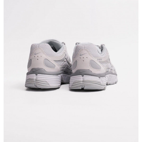 Кросівки жіночі Nike P-6000 Summit White Pure Platinum (FV6603-101)