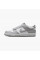 Кросівки жіночі Nike Dunk Low Gs (FB9109-123)