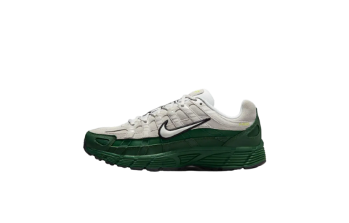 Чоловічі кросівки NIKE P-6000 PRM IF0668-001