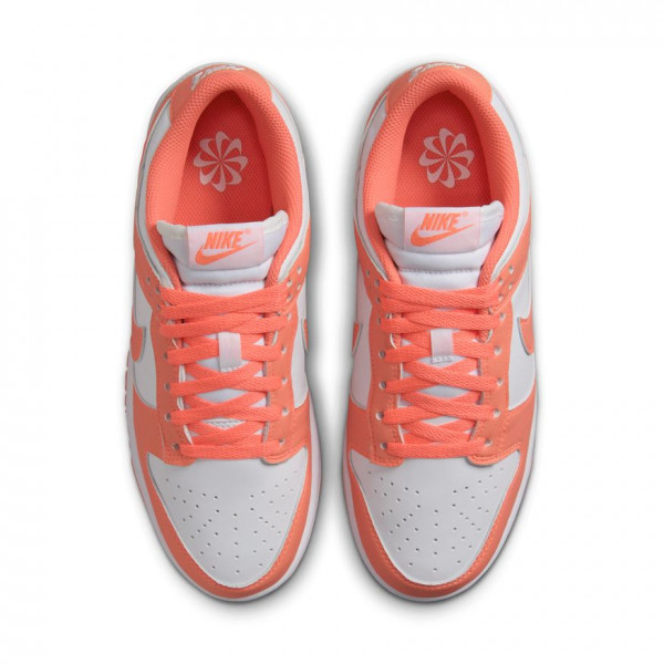 Кросівки жіночі Nike Dunk Low Next Nature (DD1873-109)