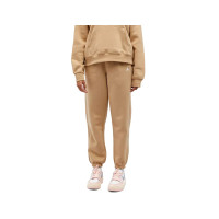 Брюки жіночі Jordan Air Brooklyn Fleece (FN4494-277)