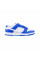 Кросівки чоловічі Nike Dunk Low Sc (FN3416-001)