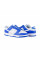 Кросівки чоловічі Nike Dunk Low Sc (FN3416-001)
