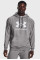 Кофта чоловіча Under Armour Rival Fleece Logo Hd (1379758-025)