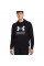 Кофта чоловіча Under Armour Rival Terry Graphic (1386047-001)