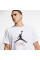 Футболка чоловіча Jordan Jumpman Flight Men's T-Shirt (AO0664-100)