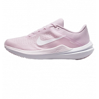 Кросівки жіночі Nike Winflo 10 (DV4023-600)