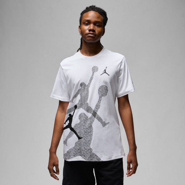 Футболка чоловіча Jordan Brand Ss Hbr Crew (FN6025-100)