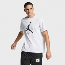 Футболка чоловіча Jordan Jumpflight White AO0664-100 