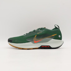 Кросівки чоловічі Nike Pegasus Trail 5 Gore-Tex Green FQ0908-301