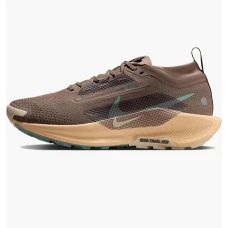 Кросівки жіночі  Nike Pegasus Trail 5 Gtx Brown FQ0912-200